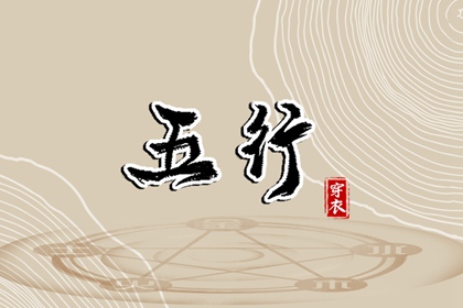 字母大小写转换